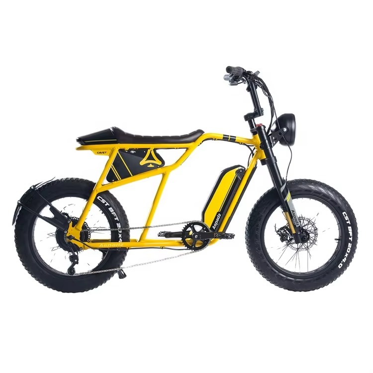 Vélo électrique 26"pouces – FX22